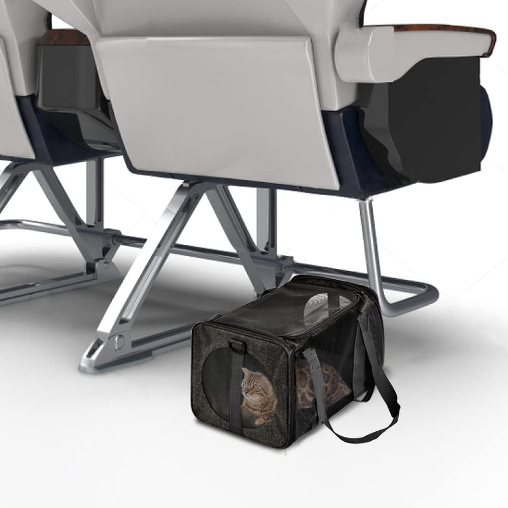 Cat Carriers Dog Carrier Pet Carrier for Small Medium Cats Dogs Puppies up to 15 Lbs, TSA Airline Approved Small Dog Carrier Soft Sided, Collapsible Waterproof Travel Puppy Carrier - Black